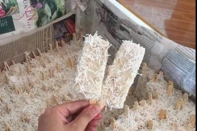 Rước họa vào thân vì kem 'tuổi thơ' bán tràn lan trên mạng