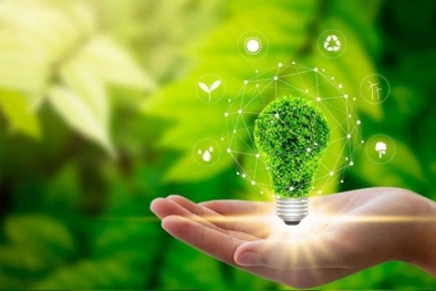 Áp dụng ISO 50004:2020 - nâng cao hiệu quả hệ thống quản lý năng lượng