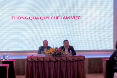 ĐHCĐ Công ty Danh Khôi: Đổi tên, kỳ vọng vươn mình trở lại