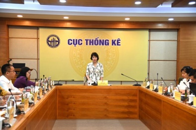 Lần đầu tiên xây dựng bộ chỉ tiêu thống kê kinh tế - xã hội cấp tỉnh và cấp xã