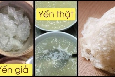 Yến sào: Từ 'vàng trắng' đến chiêu trò làm giả tinh vi