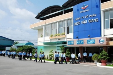 ISO 9001:2015 kết hợp 5S - Kaizen: Giải pháp kép nâng cao năng suất doanh nghiệp