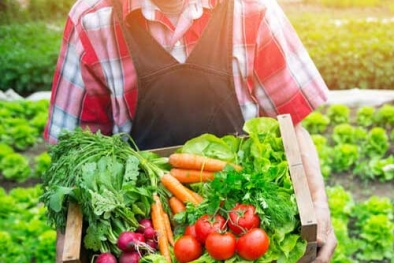 Nông nghiệp hữu cơ: Hành trình kiến tạo niềm tin từ những nguyên tắc bền vững