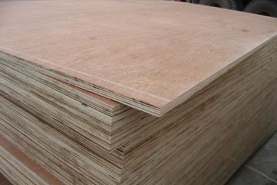 TCVN 14246:2024 về gỗ dán chịu nước mặn