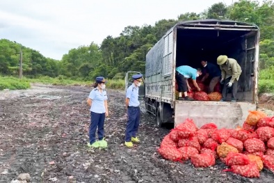 Quảng Ninh: Ngăn chặn hơn 16 tấn thủy sản không rõ nguồn gốc tuồn vào nội địa