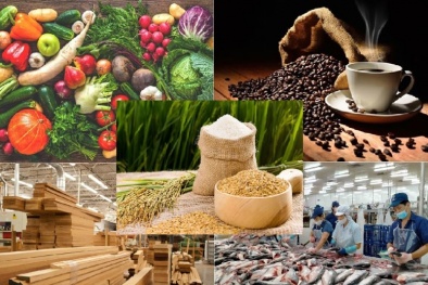 Xuất khẩu nông, lâm, thủy sản tăng hơn 14% trong 6 tháng đầu năm 2025