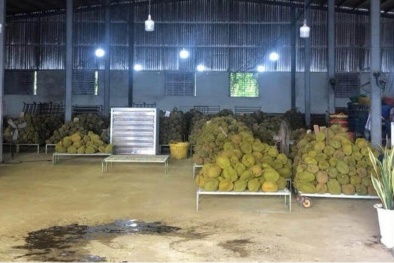 Doanh nghiệp tăng tốc sản xuất, nâng cao độ tin cậy nhờ tích hợp ISO 22000:2018 và HACCP