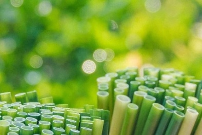 TCVN 14293:2024 về ống hút compost công nghiệp