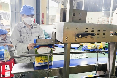 Truy xuất nguồn gốc – “chìa khóa” nâng tầm nông sản Quảng Trị