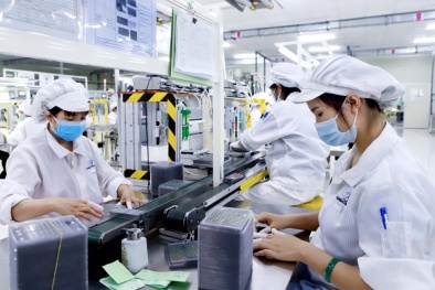 Tích hợp ISO 9001 và ISO 14001: Hướng đi chiến lược giúp doanh nghiệp phát triển bền vững