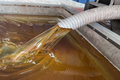 Khi dầu ăn 'bẩn' len lỏi vào từng bữa ăn