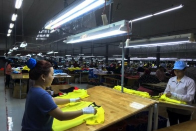 Doanh nghiệp dệt may tăng tốc theo chuẩn OCS: Chìa khóa minh bạch chuỗi cung ứng