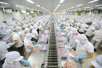 MFCA – chìa khóa cho doanh nghiệp chế biến thực phẩm nâng cao năng suất