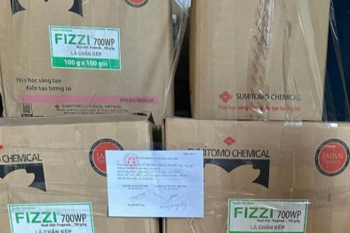 Đồng Nai phát hiện nhiều cơ sở sản xuất, kinh doanh phân bón, thuốc bảo vệ thực vật vi phạm