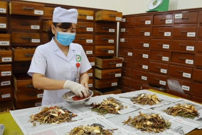Vị thuốc cổ truyền phải công bố tiêu chuẩn chất lượng trước khi lưu hành