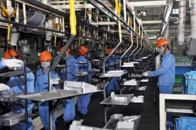 Kết hợp 5S và ISO 9001:2015: Nền tảng vững chắc xây dựng uy tín doanh nghiệp