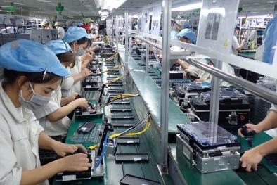 Doanh nghiệp nâng cao năng suất khi áp dụng ISO 9001:2015 kết hợp công cụ cải tiến 5S