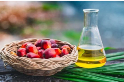 Chuyên gia khuyến cáo nên hạn chế sử dụng dầu cọ và dầu dừa công nghiệp để tốt cho sức khỏe