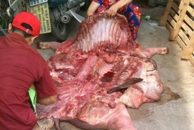 Đường đi của thịt lợn bệnh, lợn chết vào suất cơm văn phòng 25.000đ