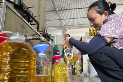 Dầu lạc, dầu vừng tự ép 'lên ngôi' vì lo ngại hàng giả, kém chất lượng