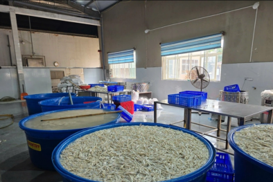 Phát hiện chân gà đông lạnh tẩy trắng bằng hóa chất tại kho lạnh ở Sầm Sơn