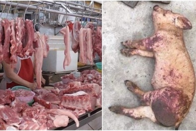 Khi 'bệnh án' đến từ... thịt lợn 'bẩn'