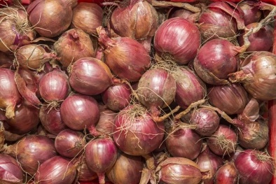 Thu hồi rau củ của Công ty And Go Concepts LLC do nguy cơ nhiễm vi khuẩn Listeria