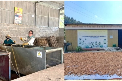 Trạm công nghệ dùng chung: Giải pháp thúc đẩy sản xuất OCOP