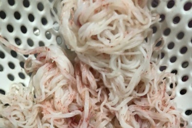 Bún đổi màu tại Đà Nẵng do vi sinh vật phát triển, không phát hiện hóa chất