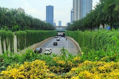 Thị trường bất động sản xanh tại Việt Nam: Thực trạng cung - cầu và xu hướng giá cả