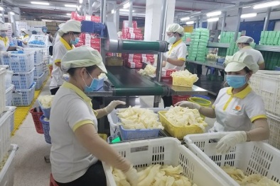 Doanh nghiệp ngành cao su áp dụng các hệ thống quản lý nhằm nâng cao chất lượng sản phẩm