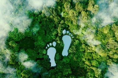 Dấu chân carbon - công cụ hữu ích để đo lường và giảm thiểu tác động môi trường