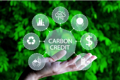Thúc đẩy thị trường tín chỉ carbon hướng tới phát triển bền vững