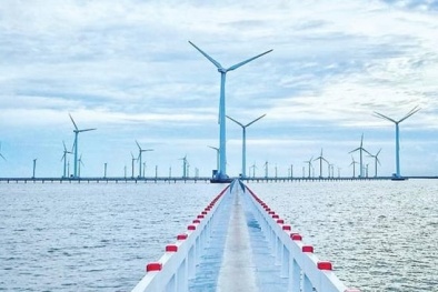 Chuyển dịch năng lượng: Cơ hội lớn nhưng không dành cho doanh nghiệp 'tay không'