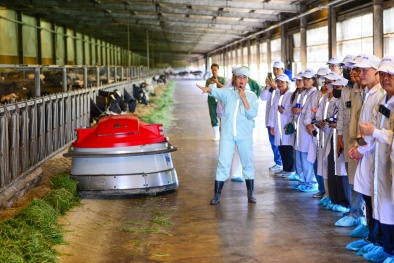 “Mở khóa tự nhiên”: Vinamilk biến rào cản thành vòng tuần hoàn xanh tại trang trại sinh thái