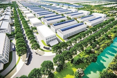 Thị trường bất động sản khu công nghiệp Việt Nam năm 2025: Thực trạng và triển vọng phát triển 