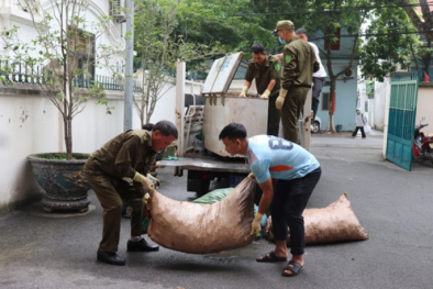 Phú Thọ phát hiện hàng tạ mỡ lợn bẩn tại cơ sở chế biến không phép