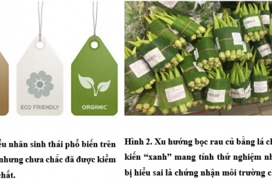 'Tẩy xanh' - mập mờ quảng cáo núp dưới vỏ bọc bảo vệ môi trường: Nhìn từ thế giới tới Việt Nam