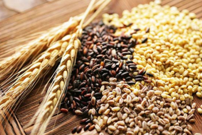 TCVN 14237‑1:2024 - kiểm soát chất lượng thông qua xác định độ ẩm sản phẩm ngũ cốc