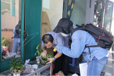 TP.HCM siết chặt kiểm soát sốt xuất huyết