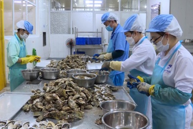 Doanh nghiệp chuyển mình mạnh mẽ nhờ kết hợp công cụ cải tiến và hệ thống quản lý