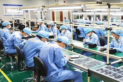 Phát triển nguồn nhân lực chất lượng cao trong ngành bán dẫn tại Việt Nam