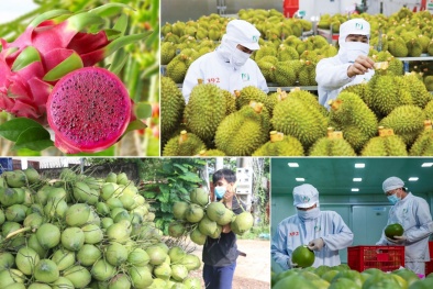 Công nghệ chống giả nông sản: Vì sao vẫn bị… bỏ ngỏ?