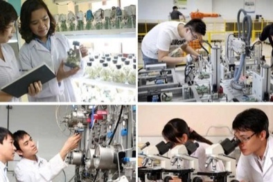 Nâng cao chất lượng đào tạo đổi mới sáng tạo và tư duy khởi nghiệp tại các cơ sở giáo dục