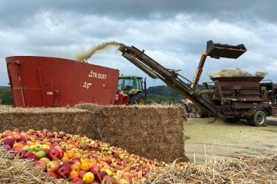 Giảm thiểu phát thải khí nhà kính bằng việc tái chế rác thải thực phẩm 