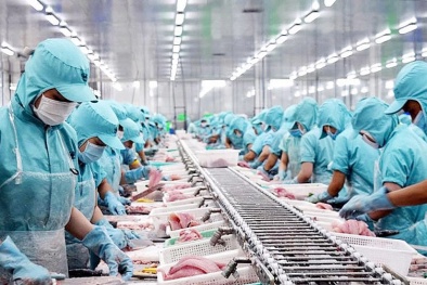 Thủy sản Việt tăng tốc xuất khẩu trước hạn thuế quan của Hoa Kỳ