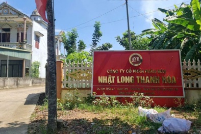 Công ty phân bón Nhật Long bị phạt 458 triệu đồng vì xả thải gây ô nhiễm