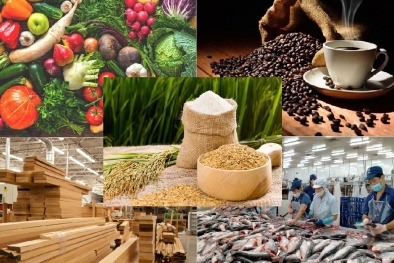 Doanh nghiệp cần tuân thủ các quy định hết sức chặt chẽ về nhãn mác thực phẩm xuất khẩu vào EU