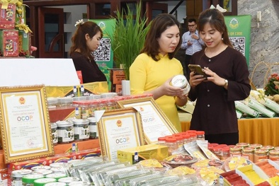 Chất lượng hàng hóa – yếu tố sống còn trong cạnh tranh và hội nhập