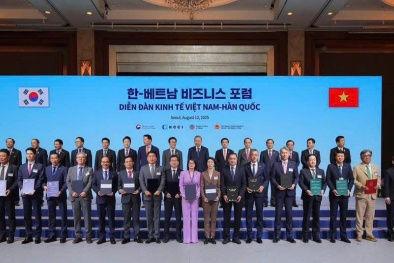 Hợp tác thúc đẩy đổi mới sáng tạo, khởi nghiệp và chuyển đổi xanh tại Việt Nam